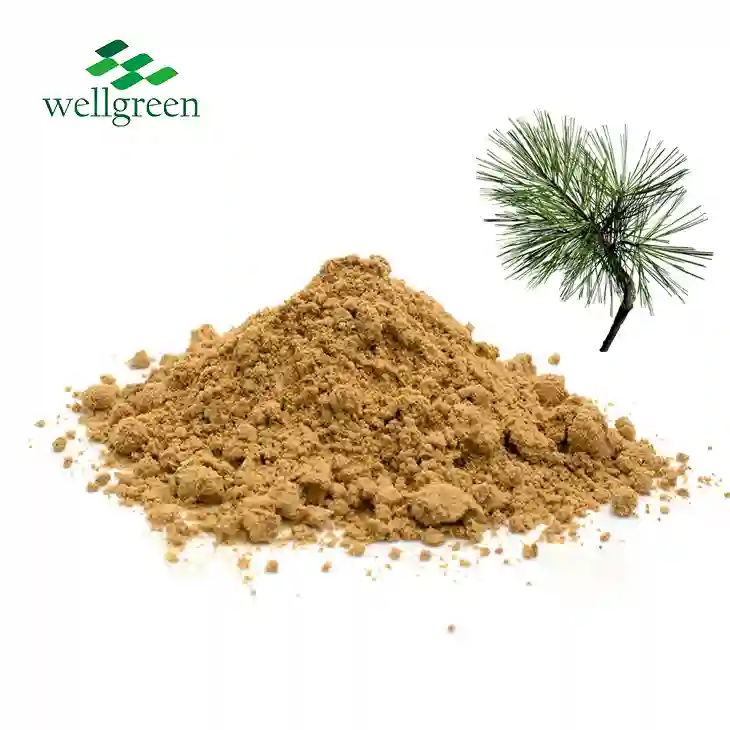 Pine Needles Extract